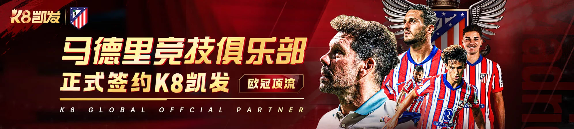 资料手册体育内容配图